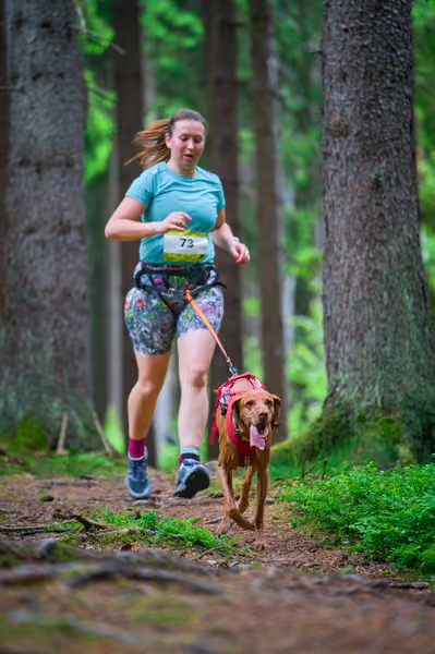 Krkonošský canicross - Jilemnice – 30. května 2026