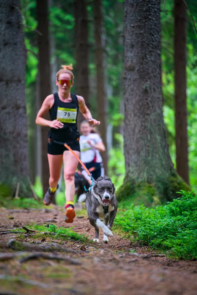 Krkonošský canicross - Jilemnice – 30. května 2026