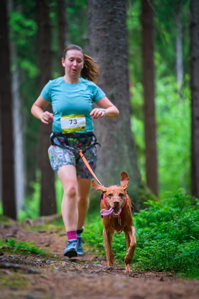 Krkonošský canicross - Jilemnice – 30. května 2026