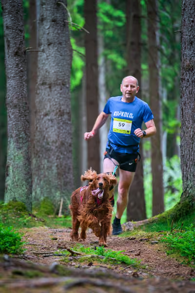 Krkonošský canicross - Jilemnice – 30. května 2026