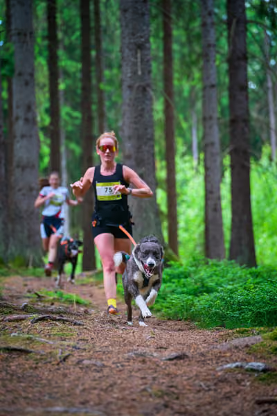Krkonošský canicross - Jilemnice – 30. května 2026