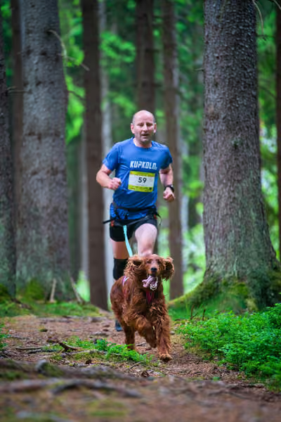 Krkonošský canicross - Jilemnice – 30. května 2026