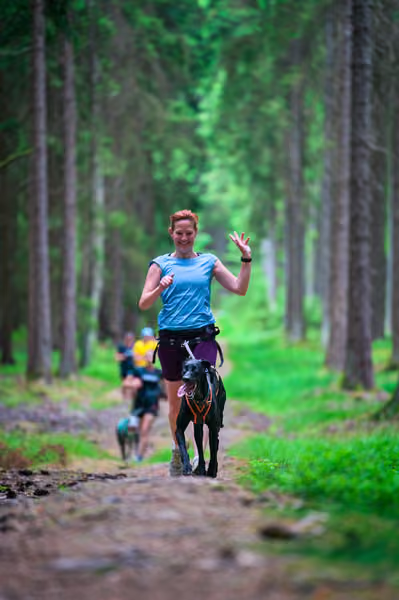 Krkonošský canicross - Jilemnice — JIL26-462