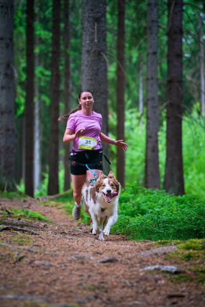 Krkonošský canicross - Jilemnice – 30. května 2026