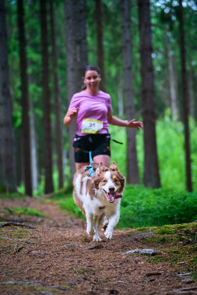 Krkonošský canicross - Jilemnice – 30. května 2026