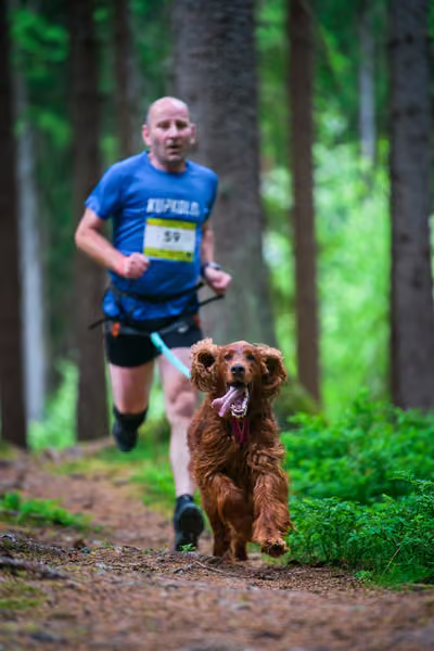 Krkonošský canicross - Jilemnice – 30. května 2026