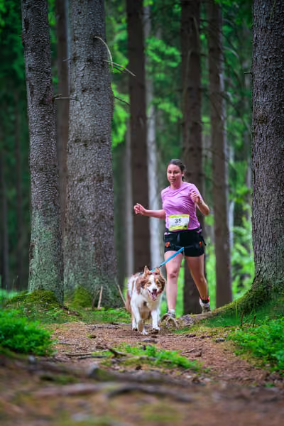 Krkonošský canicross - Jilemnice – 30. května 2026