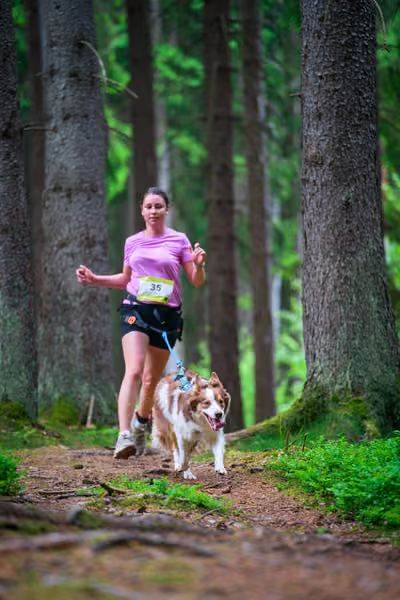 Krkonošský canicross - Jilemnice – 30. května 2026