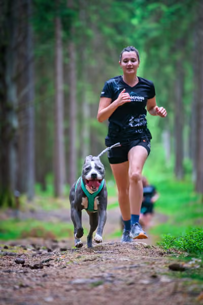 Krkonošský canicross - Jilemnice — JIL26-469