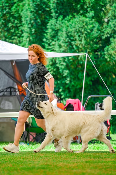 Krajská výstava psů Florinka — Florinka - Sobota – 6. června 2026