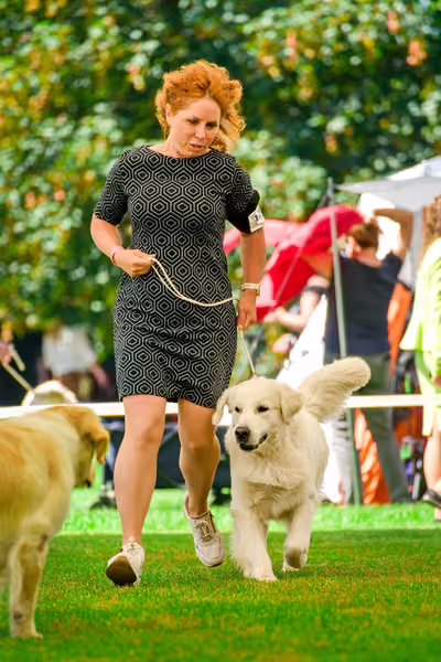 Krajská výstava psů Florinka — Florinka - Sobota – 6. června 2026