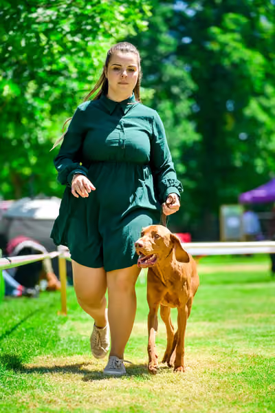 Krajská výstava psů Florinka — Florinka - Sobota – 6. června 2026