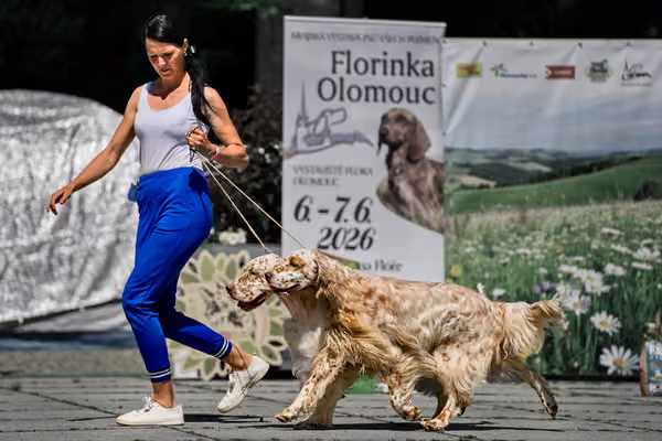 Florinka - Sobota — DSC00463
