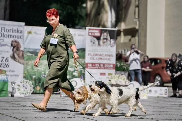 Florinka - Sobota — DSC00486