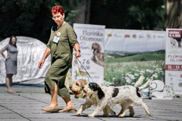Florinka - Sobota — DSC00489