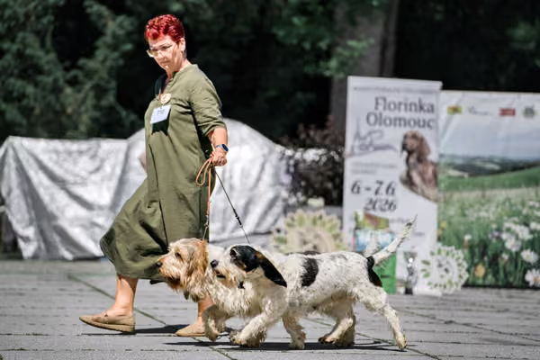Florinka - Sobota — DSC00491