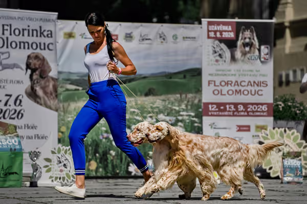 Florinka - Sobota — DSC00460