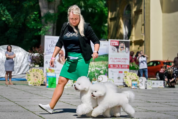 Krajská výstava psů Florinka — Florinka - Sobota – 6. června 2026