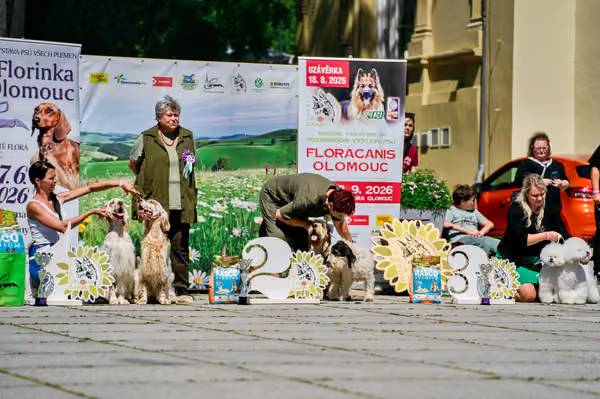 Krajská výstava psů Florinka — Florinka - Sobota – 6. června 2026