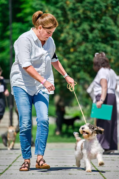 Krajská výstava psů Florinka — Florinka - Sobota – 6. června 2026