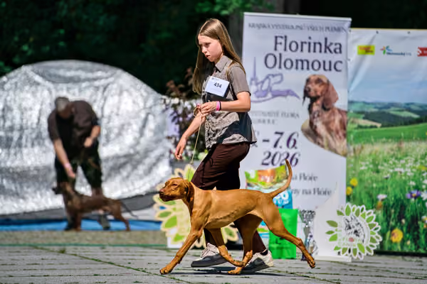 Krajská výstava psů Florinka — Florinka - Sobota – 6. června 2026