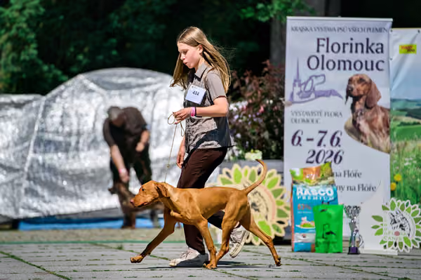 Krajská výstava psů Florinka — Florinka - Sobota – 6. června 2026