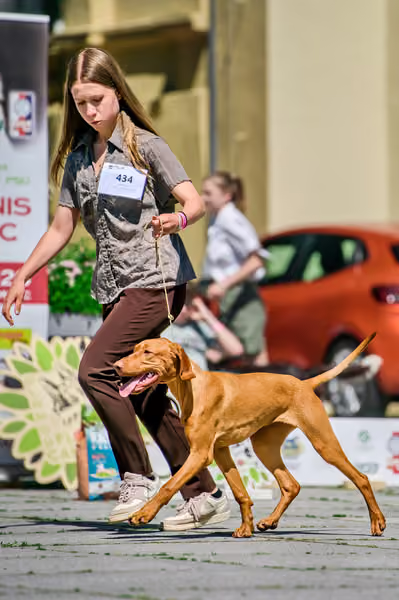 Krajská výstava psů Florinka — Florinka - Sobota – 6. června 2026