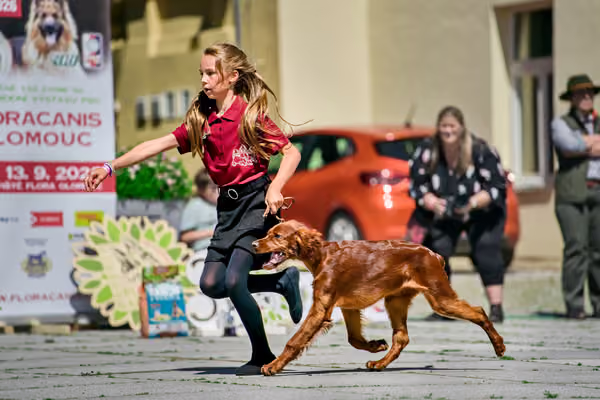 Krajská výstava psů Florinka — Florinka - Sobota – 6. června 2026