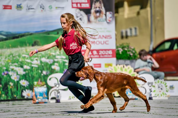 Krajská výstava psů Florinka — Florinka - Sobota – 6. června 2026