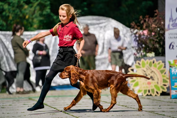 Krajská výstava psů Florinka — Florinka - Sobota – 6. června 2026