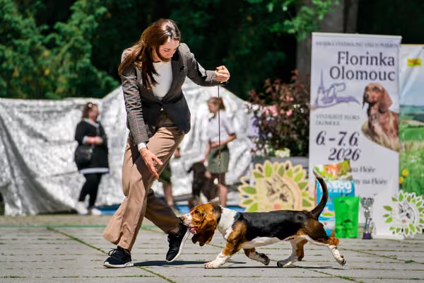 Krajská výstava psů Florinka — Florinka - Sobota – 6. června 2026
