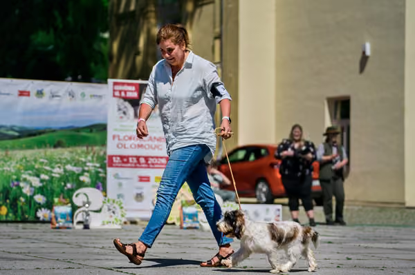 Krajská výstava psů Florinka — Florinka - Sobota – 6. června 2026