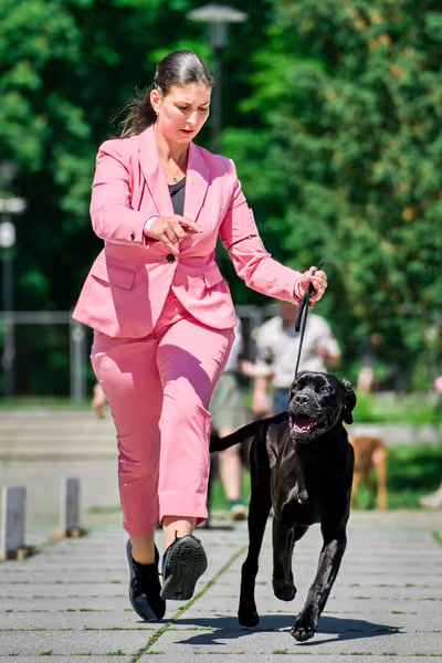 Krajská výstava psů Florinka — Florinka - Sobota – 6. června 2026