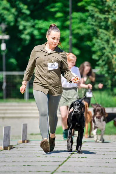Krajská výstava psů Florinka — Florinka - Sobota – 6. června 2026