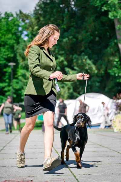 Krajská výstava psů Florinka — Florinka - Sobota – 6. června 2026