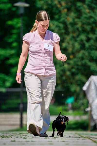 Krajská výstava psů Florinka — Florinka - Sobota – 6. června 2026