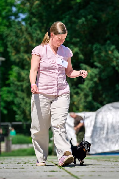 Krajská výstava psů Florinka — Florinka - Sobota – 6. června 2026