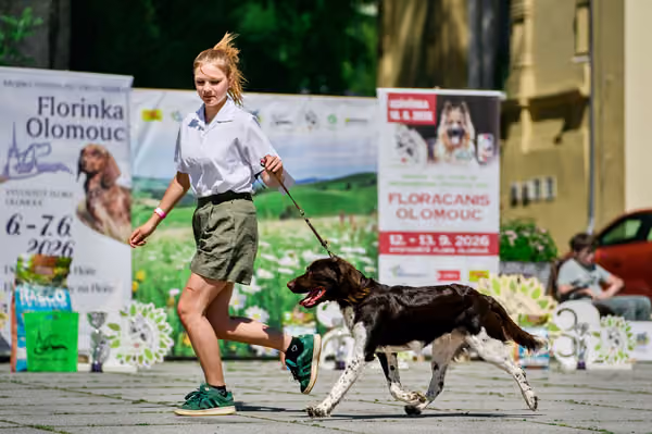 Krajská výstava psů Florinka — Florinka - Sobota – 6. června 2026