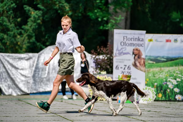 Krajská výstava psů Florinka — Florinka - Sobota – 6. června 2026