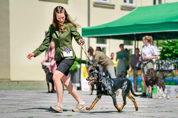 Krajská výstava psů Florinka — Florinka - Sobota – 6. června 2026