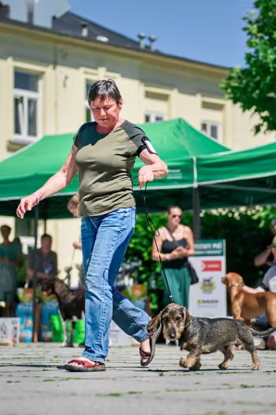 Krajská výstava psů Florinka — Florinka - Sobota – 6. června 2026