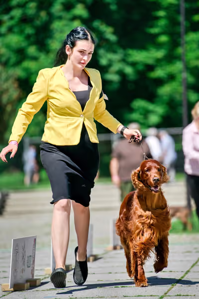 Krajská výstava psů Florinka — Florinka - Sobota – 6. června 2026