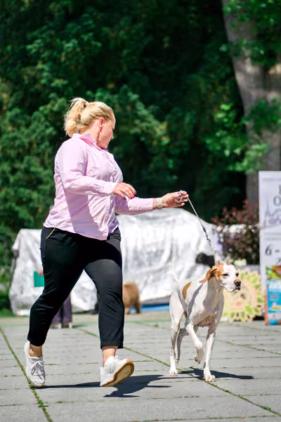 Krajská výstava psů Florinka — Florinka - Sobota – 6. června 2026