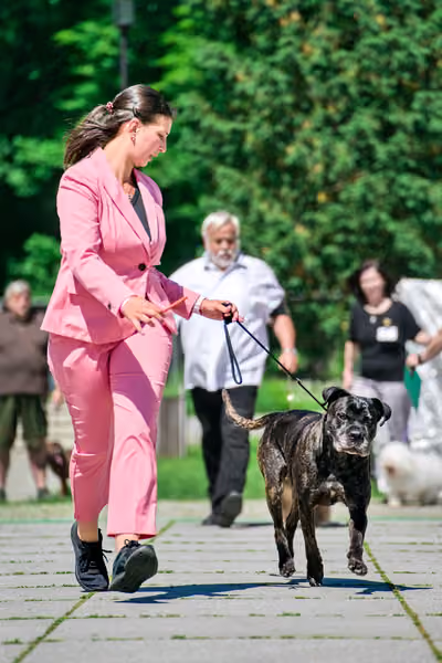 Krajská výstava psů Florinka — Florinka - Sobota – 6. června 2026