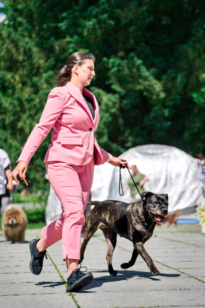 Krajská výstava psů Florinka — Florinka - Sobota – 6. června 2026