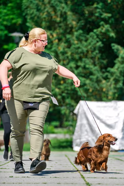 Krajská výstava psů Florinka — Florinka - Sobota – 6. června 2026