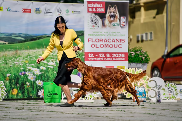 Krajská výstava psů Florinka — Florinka - Sobota – 6. června 2026