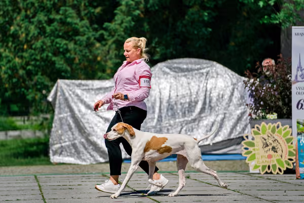 Krajská výstava psů Florinka — Florinka - Sobota – 6. června 2026