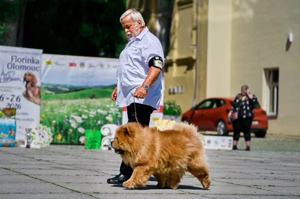 Krajská výstava psů Florinka — Florinka - Sobota – 6. června 2026