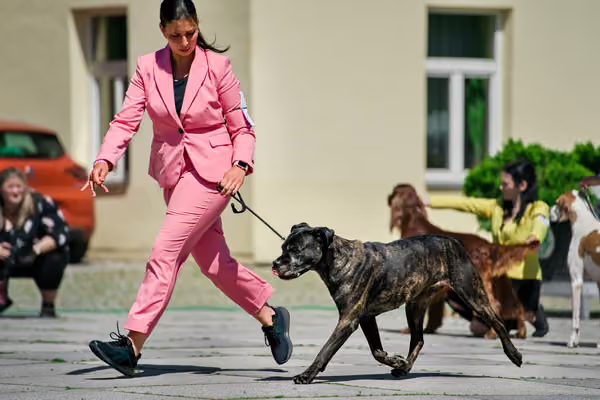 Krajská výstava psů Florinka — Florinka - Sobota – 6. června 2026